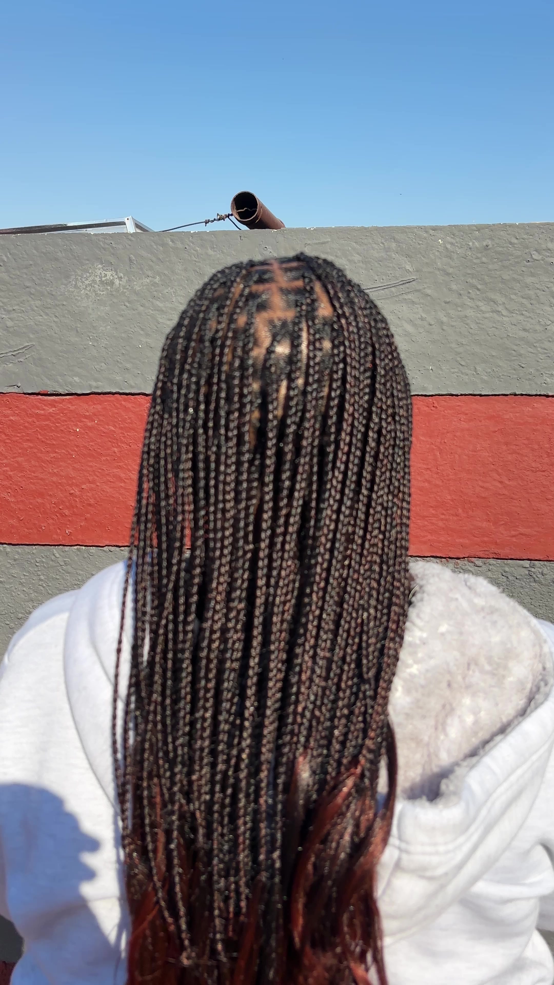 @BraidsByNaledi💋