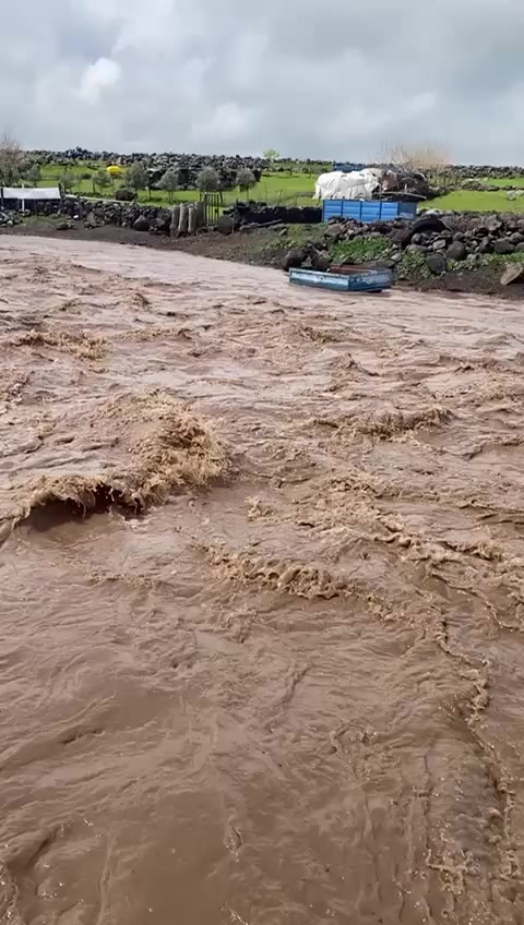 @MEMOLİ 82 21