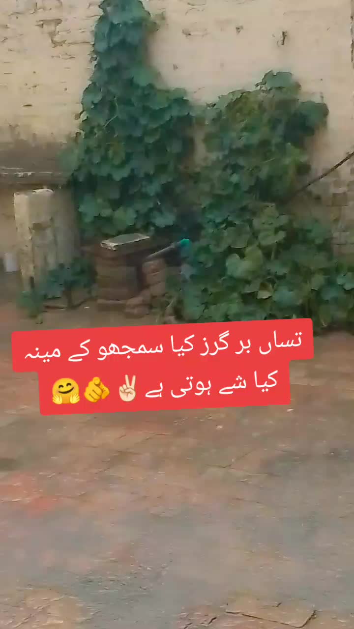 @Ziddi✌️🤨