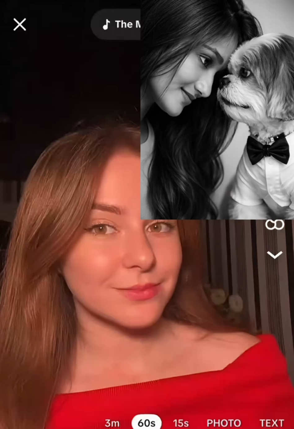@ujvtvha