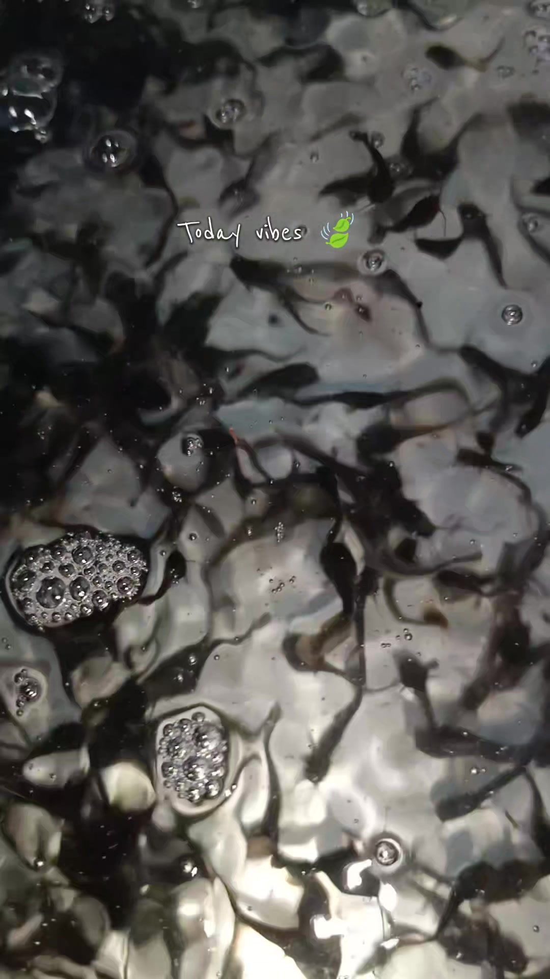 @lito_lapis