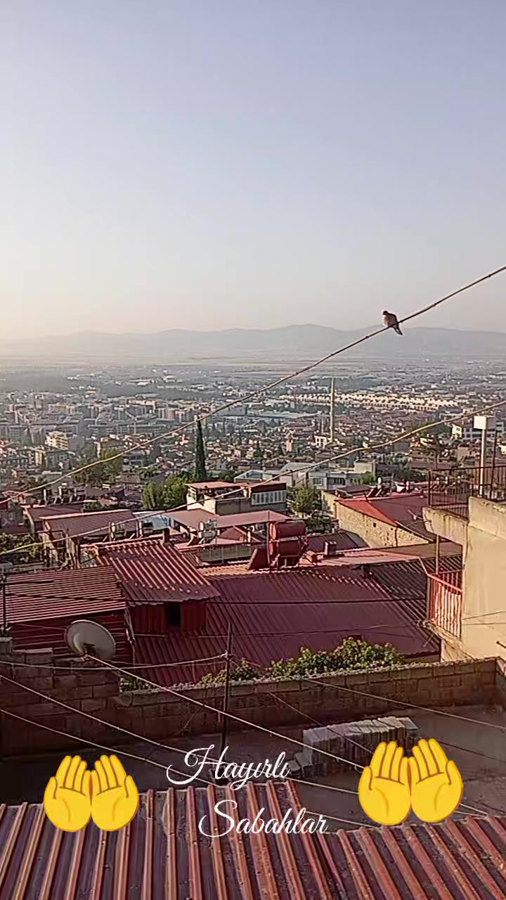 @Gönül DAĞ