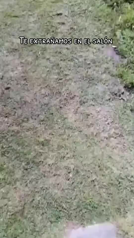 @los de la epo3 xonacatlan