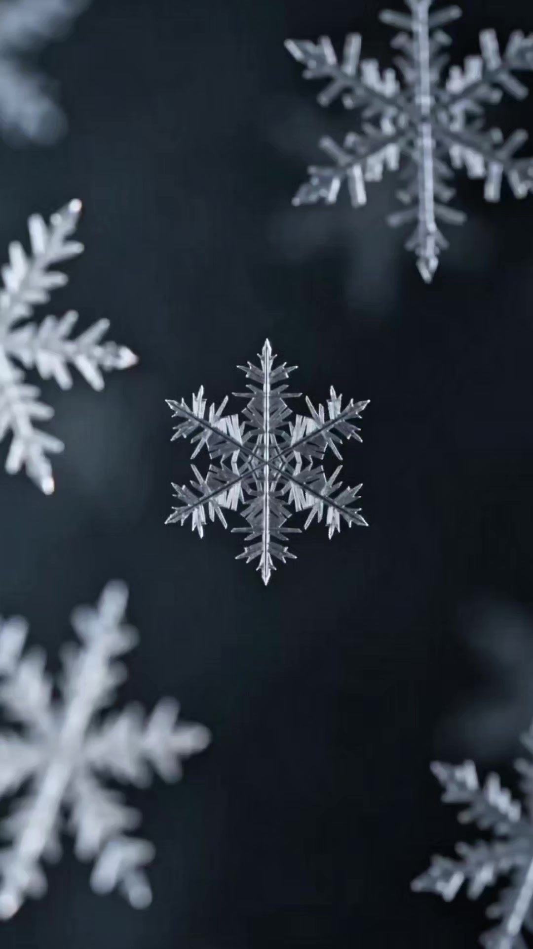 @Macro Zoom