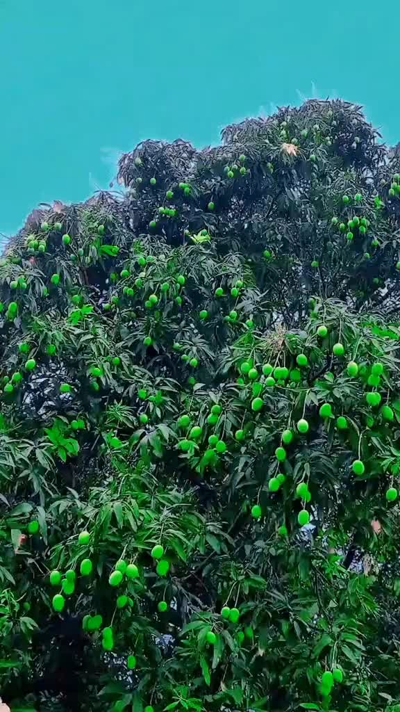 @𝐁𝐈𝐒𝐇𝐍𝐔 𝐃𝐄𝐕
