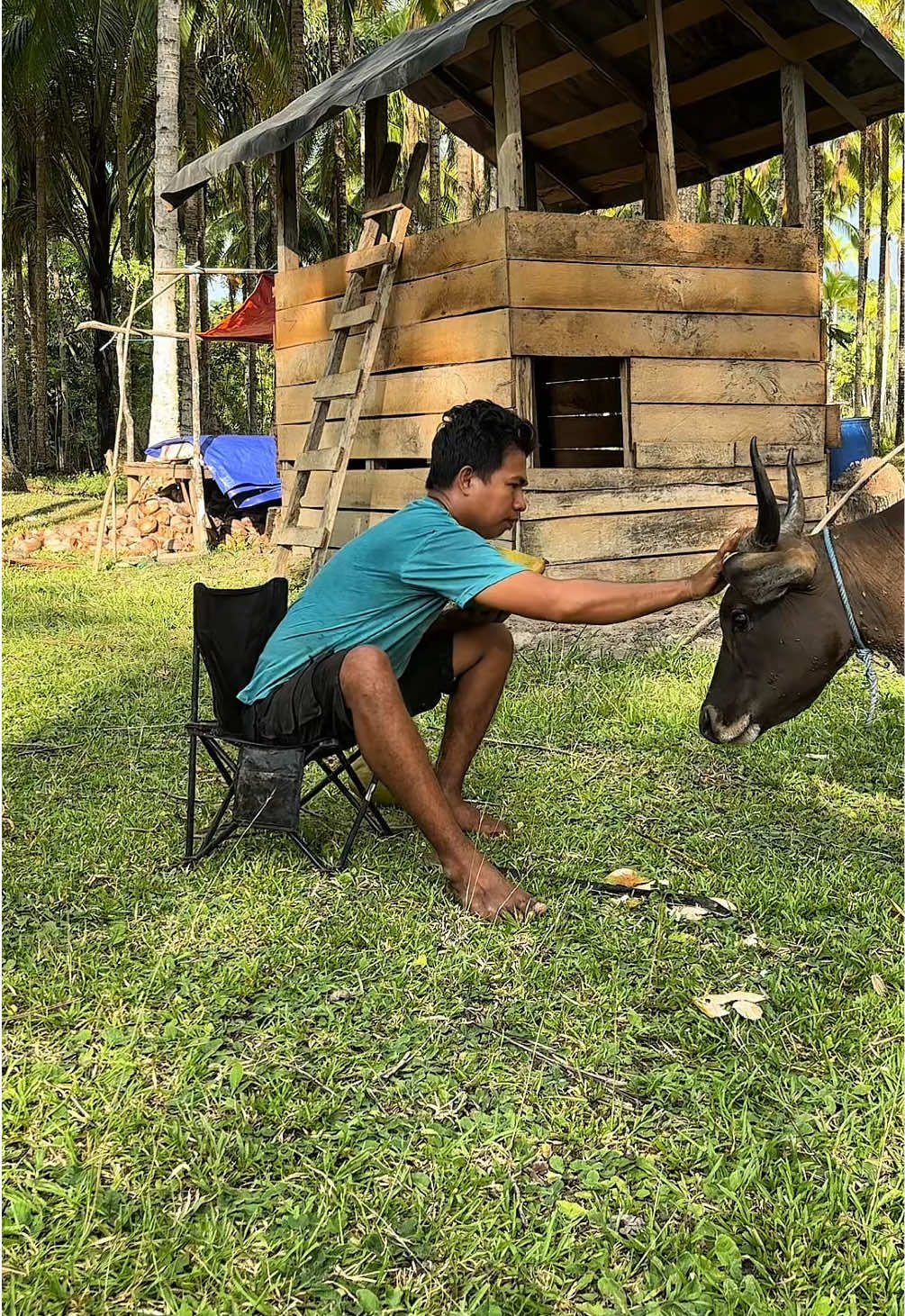 @Ka Bong 🌴