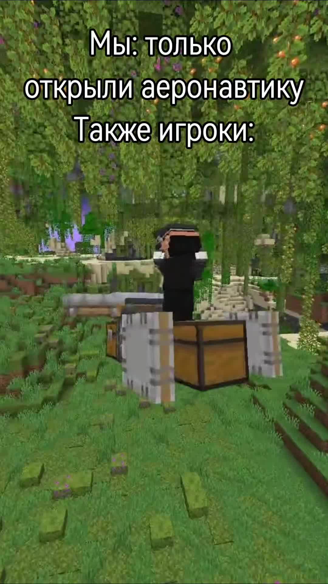 @MineChestplate
