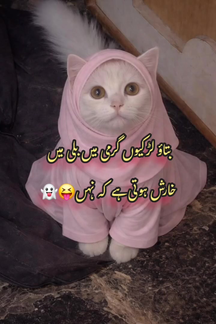 @7inchkingkhan