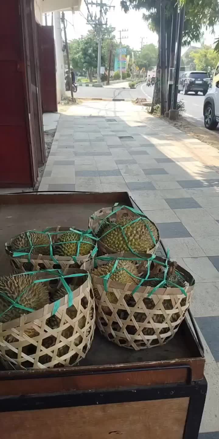 @Kenzhi Durian Tuban