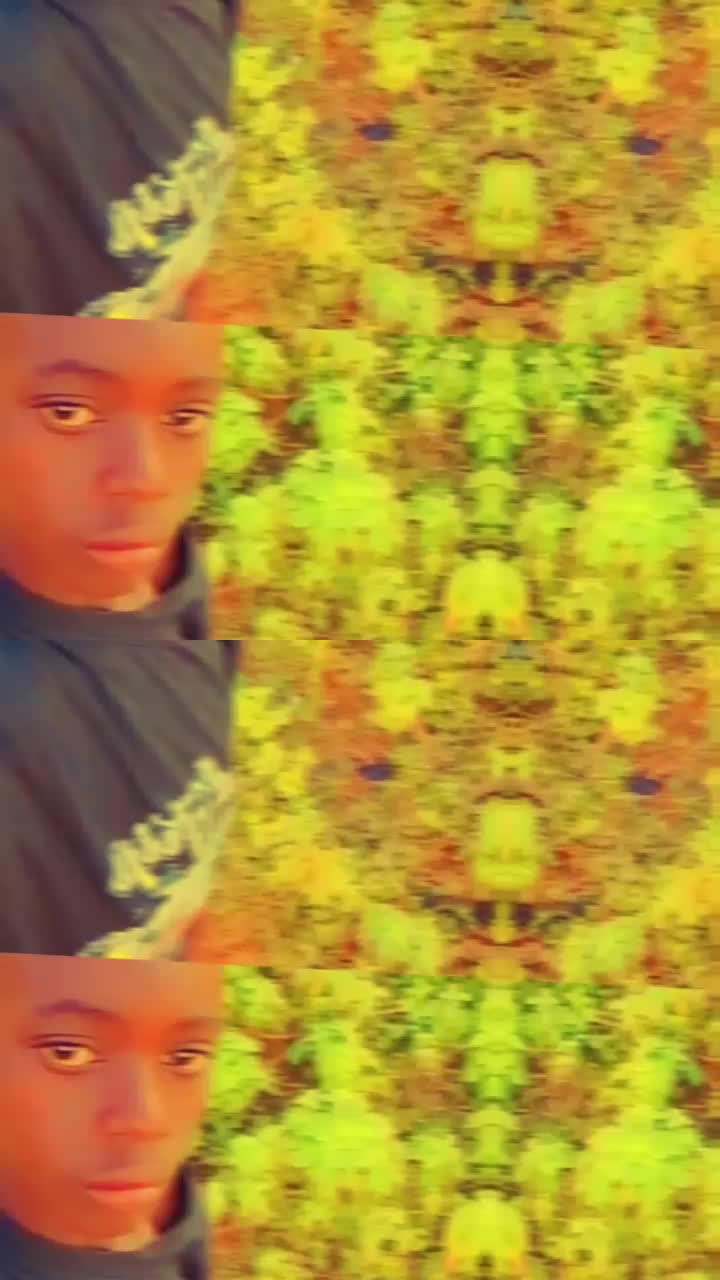 @leroidiablo