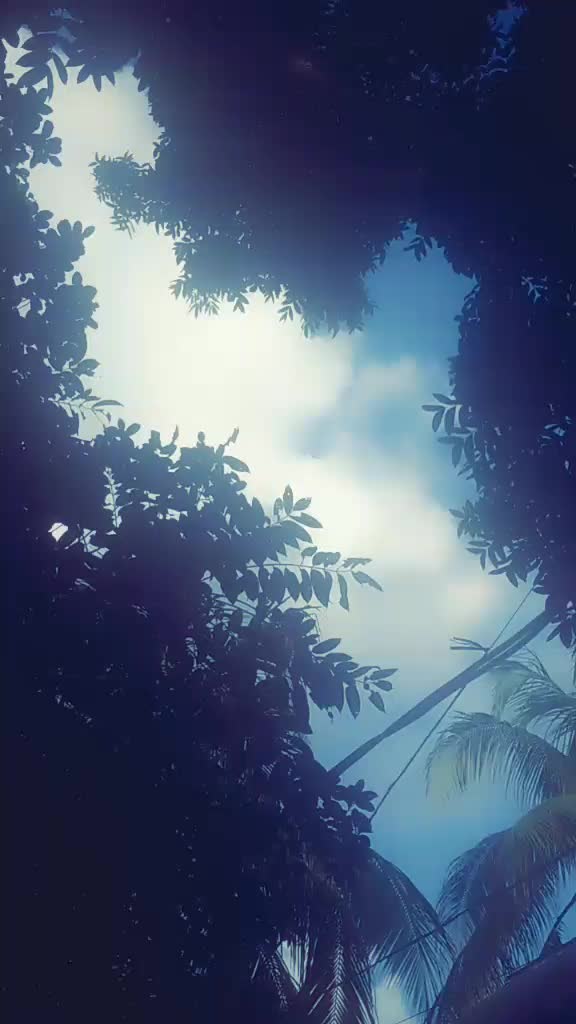 @MAHIM★MAHIM