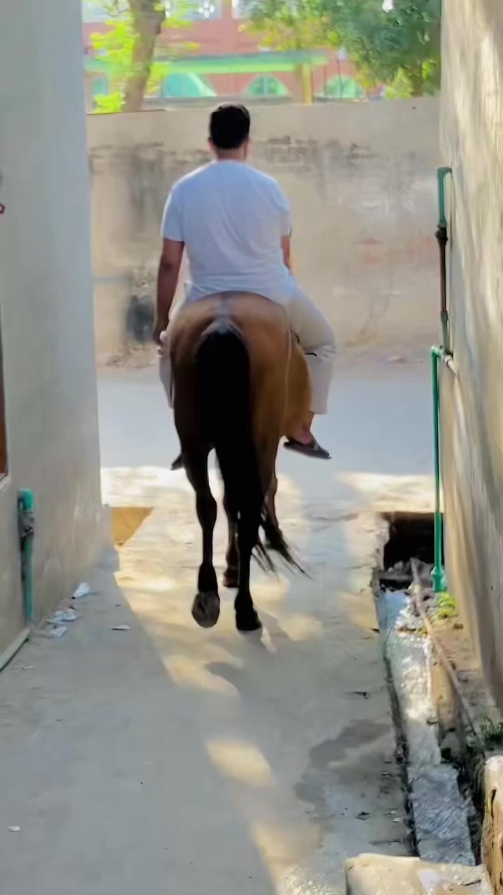 @صُومان کیانی