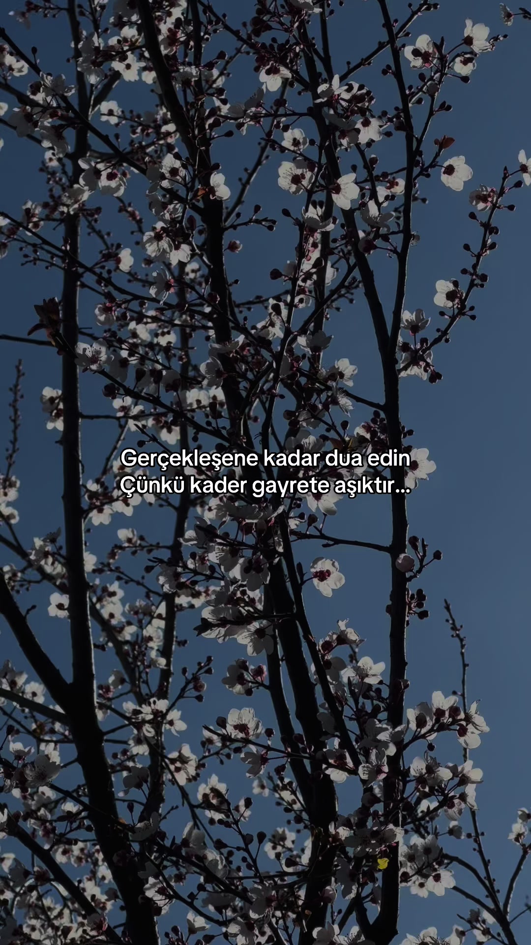 @𝕰𝖘𝖗𝖆
