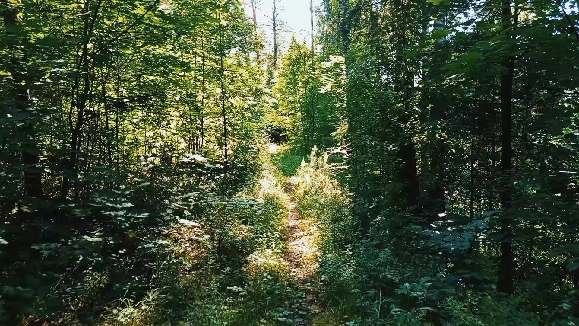 @восставшая из мертвых@