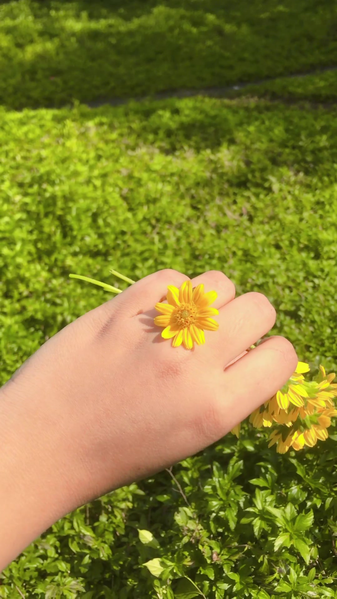 @🌼𝐏𝐚𝐲𝐞𝐥 𝐋𝐚𝐦🌼