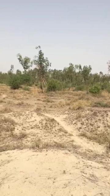 @bahwalnagarofficial