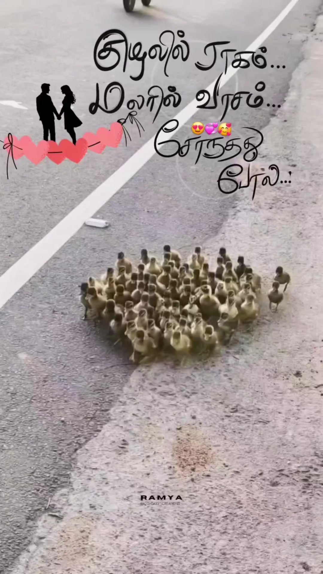 @rider king 007🇧🇫🇧🇫TN.76