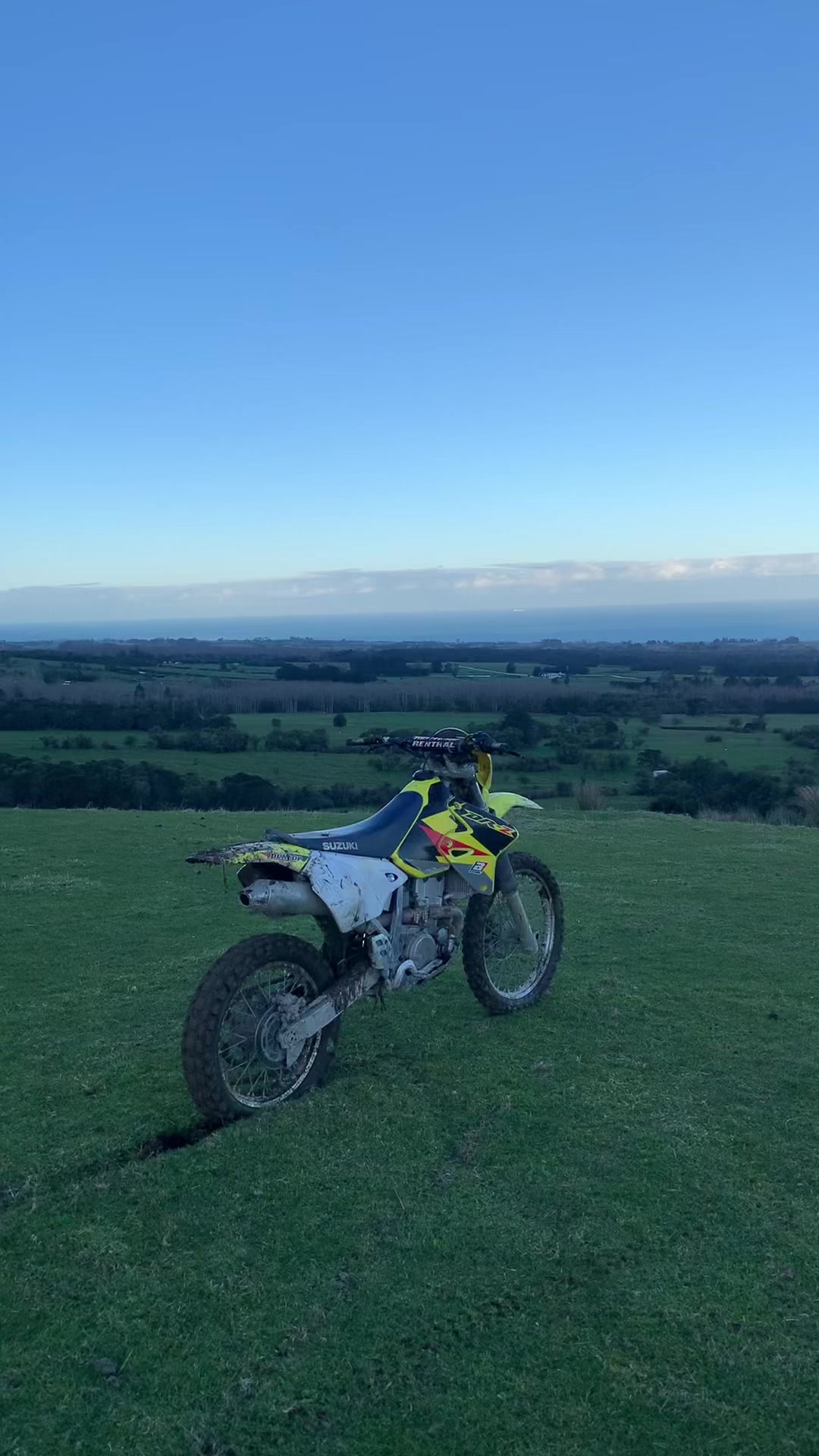 @DRZ Toby🫠