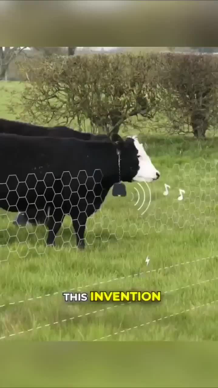 @New innovations