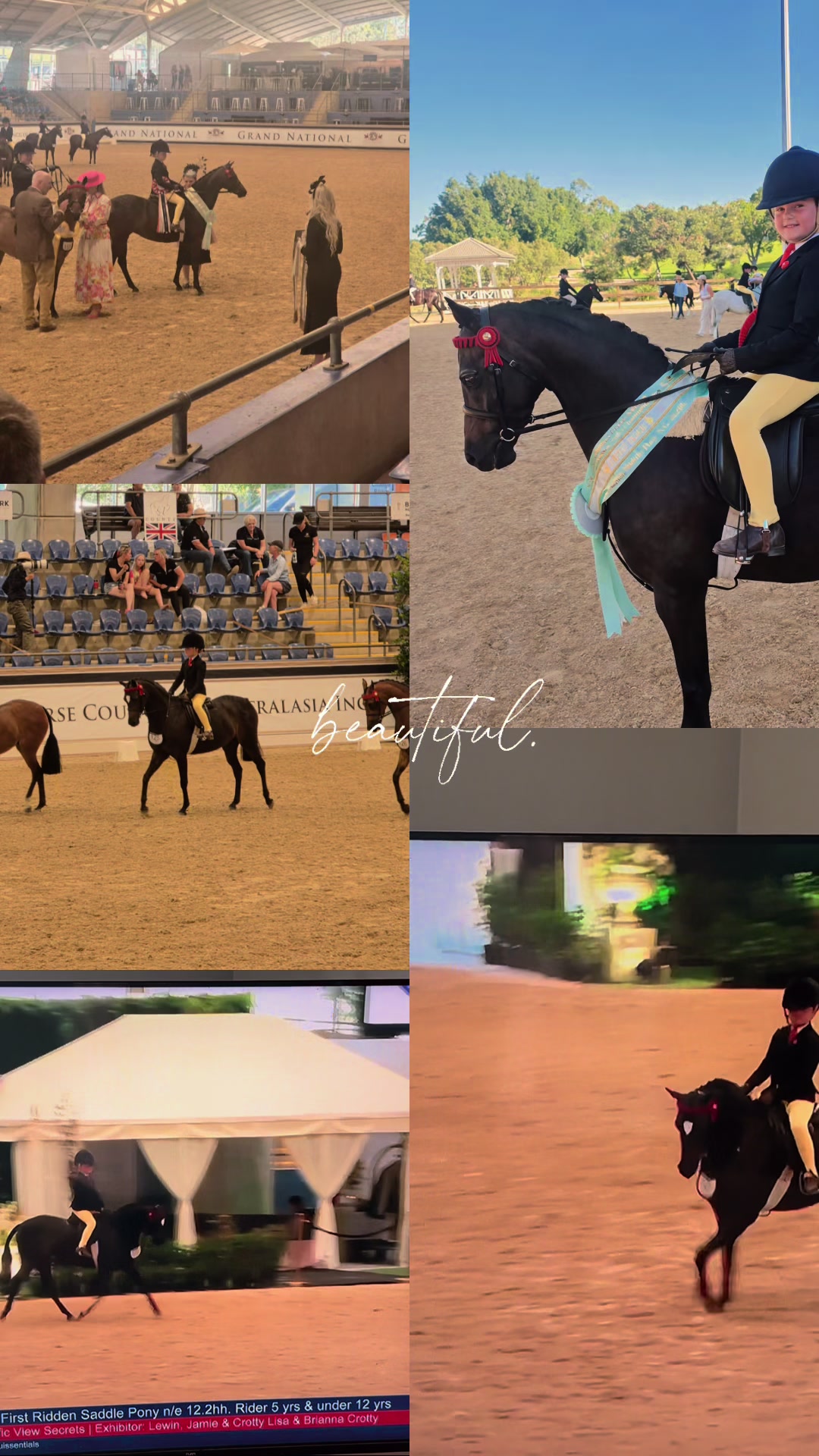 @RV Park Show Ponies