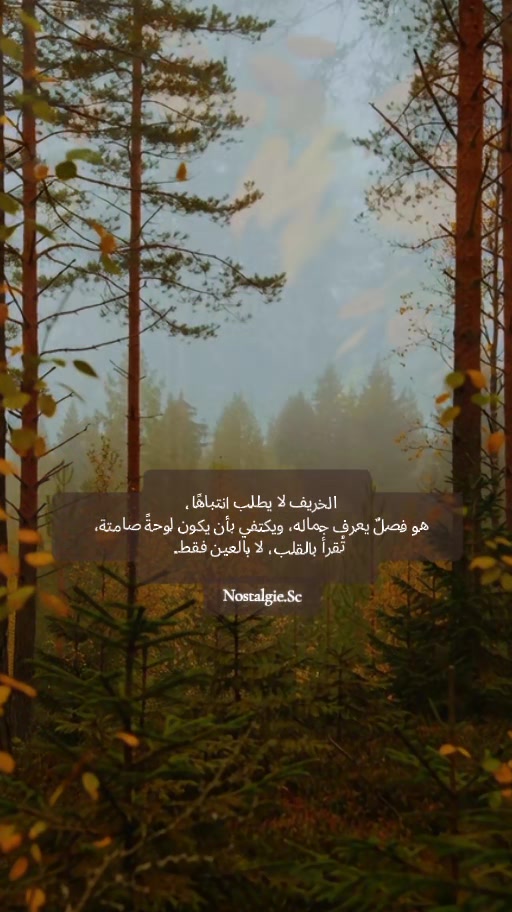 @🇱🇧🄽🄾🅂🅃🄰🄻🄶🄸🄴70 80 90