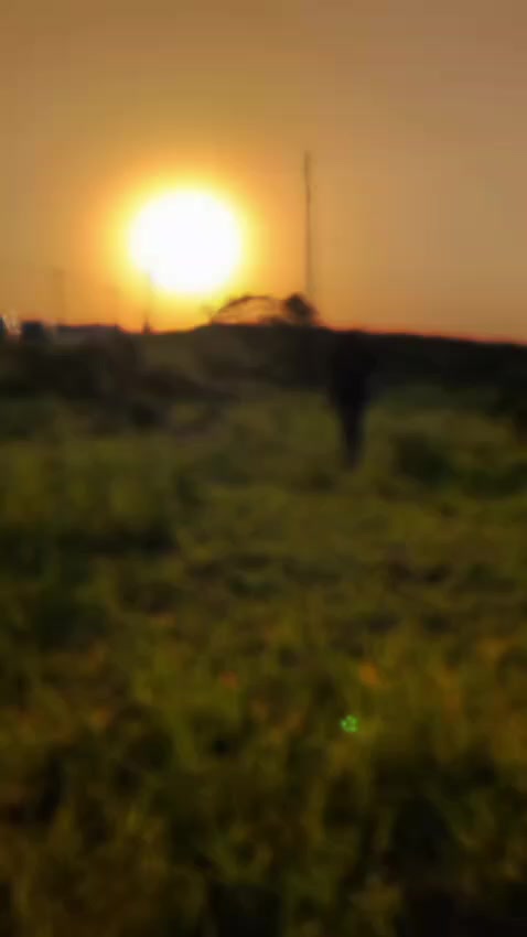 @abuzar.zafar