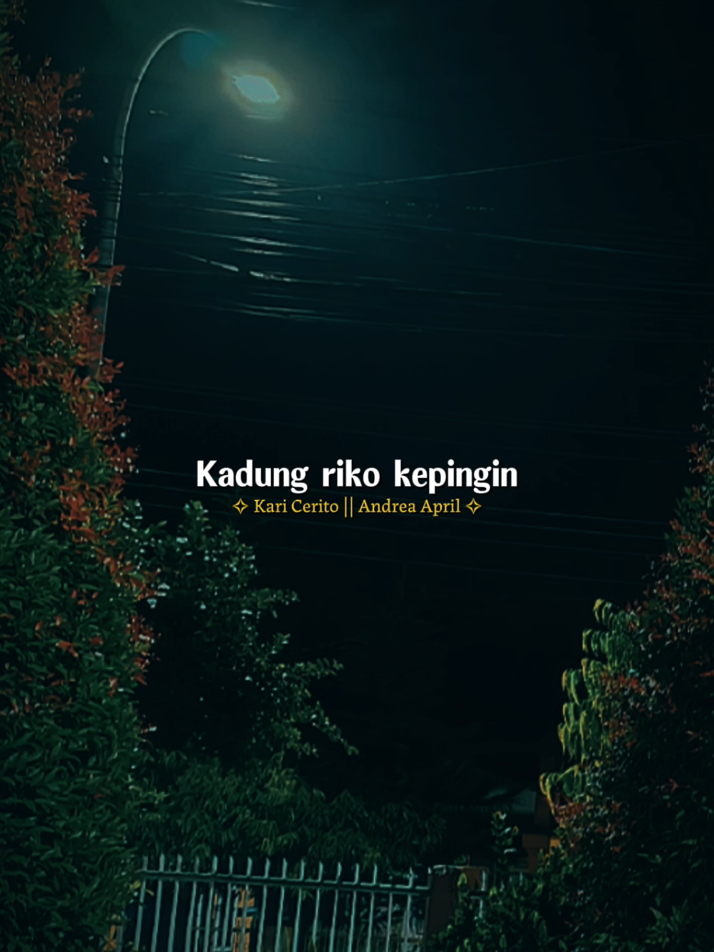 @๐๐_๐๐๐๐๐