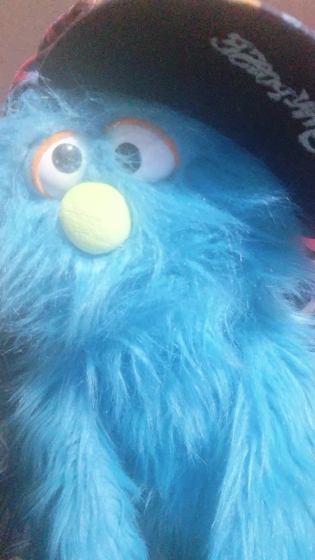 @💙pickelrick/ juggalo Muppet💙