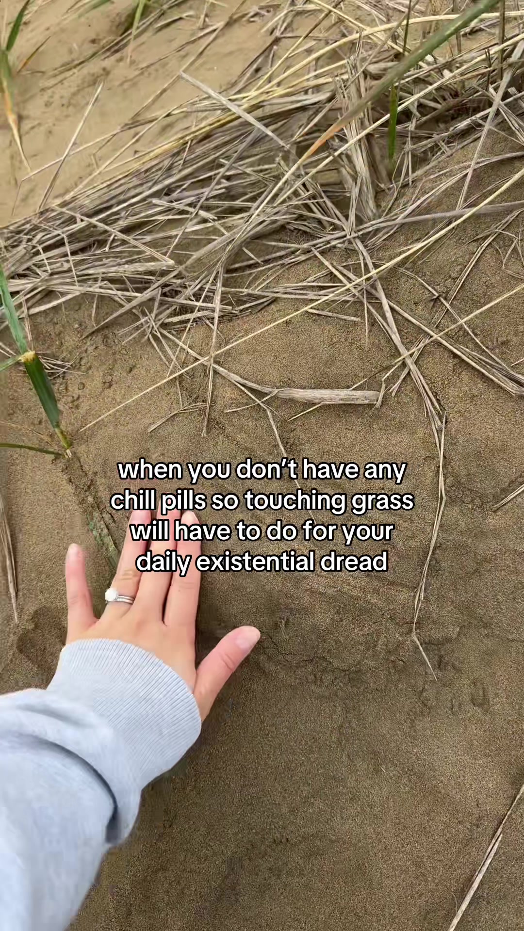 @koybean