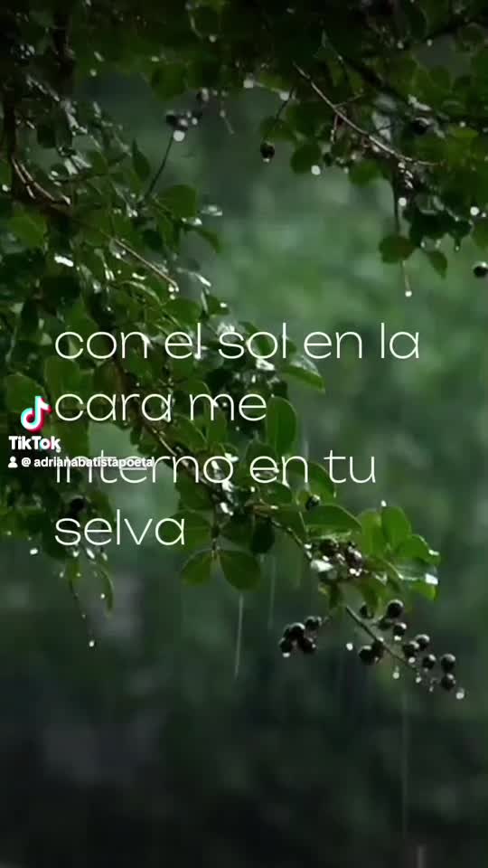 @Adriana Batista escritora