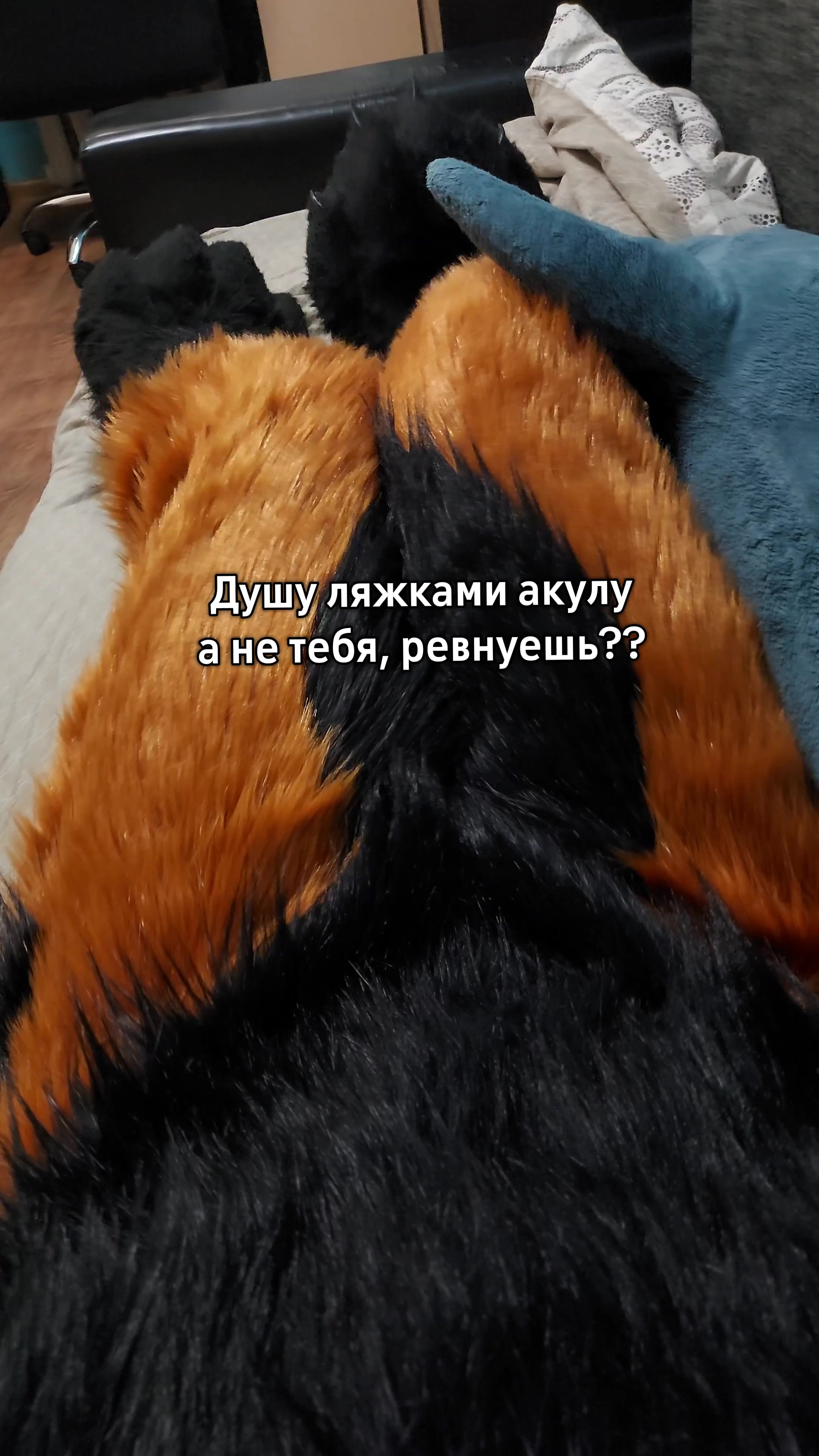 @RUSTY#WingedFox