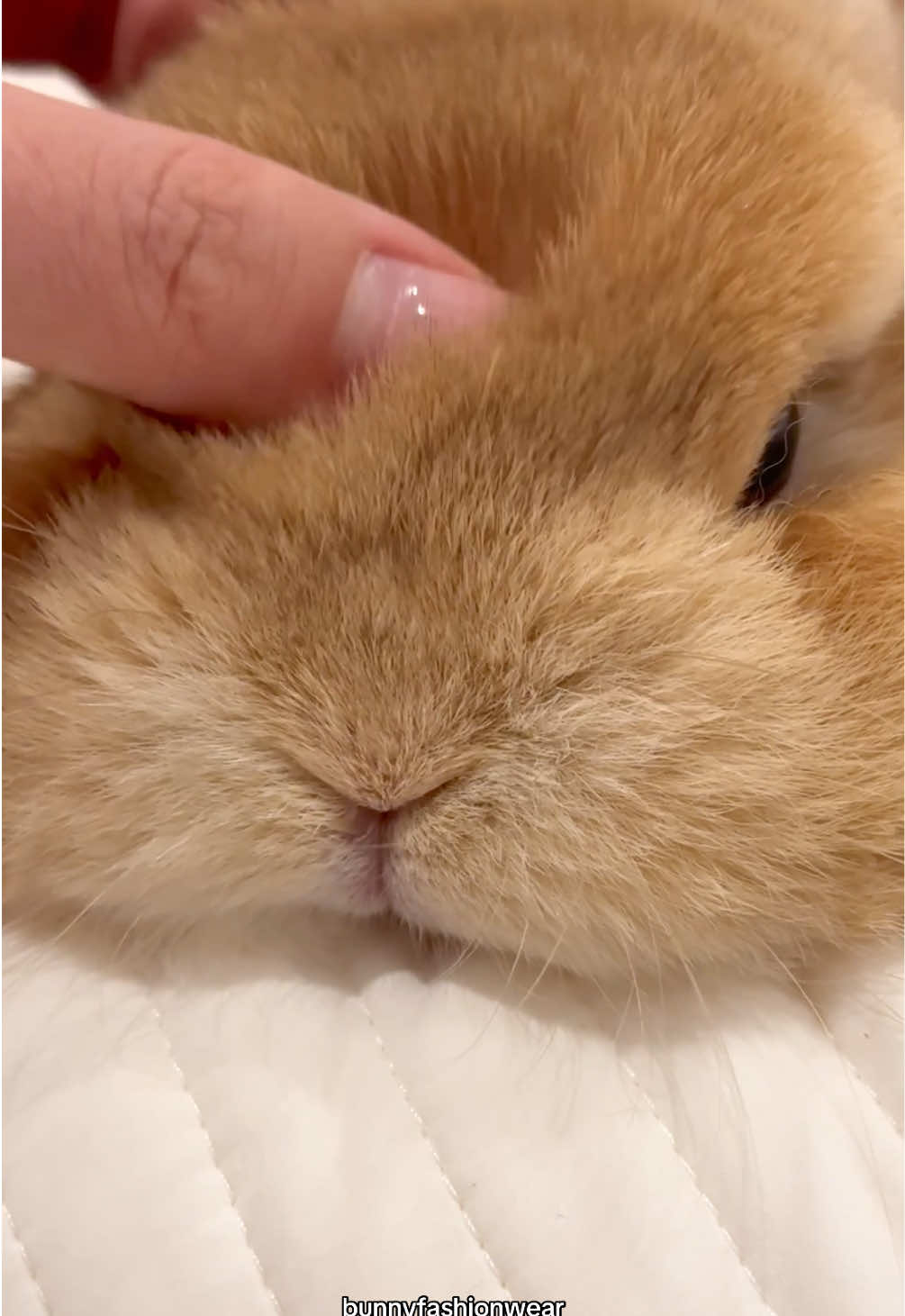 @Eggie