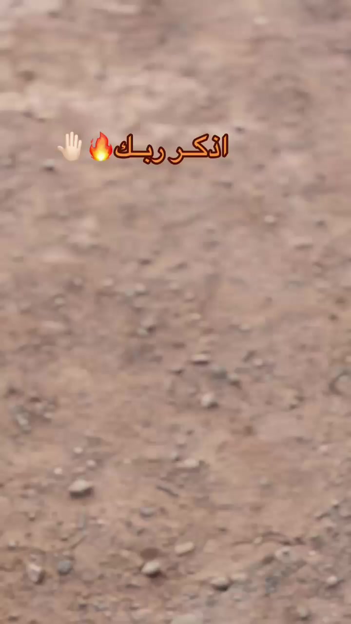 @عُزو المريمي 🦅🔥