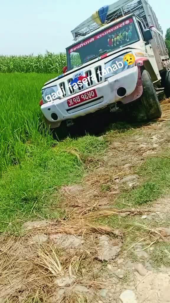 @Ryder Rajesh