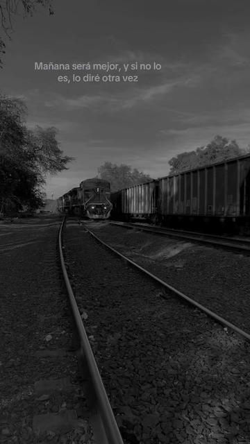 @elsr.deltren