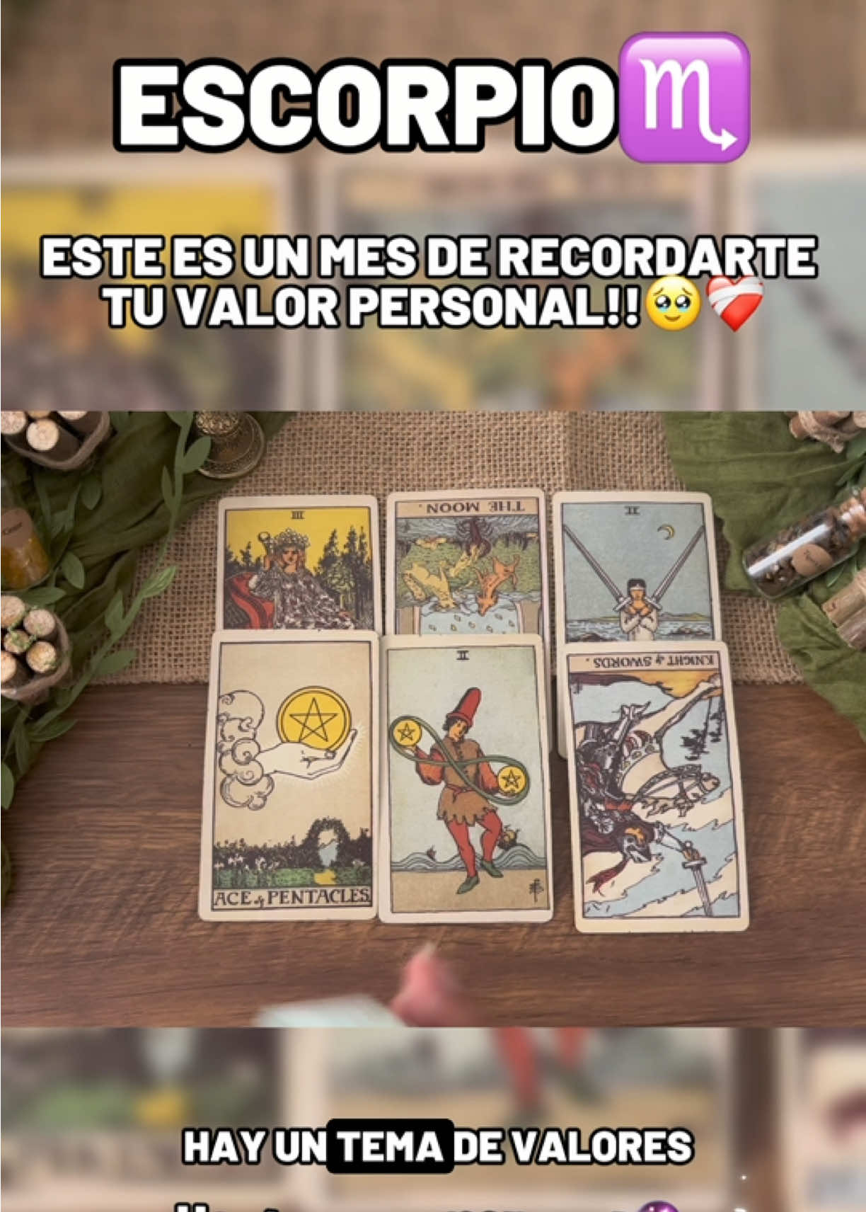 @Andy Sun Tarot ☀️