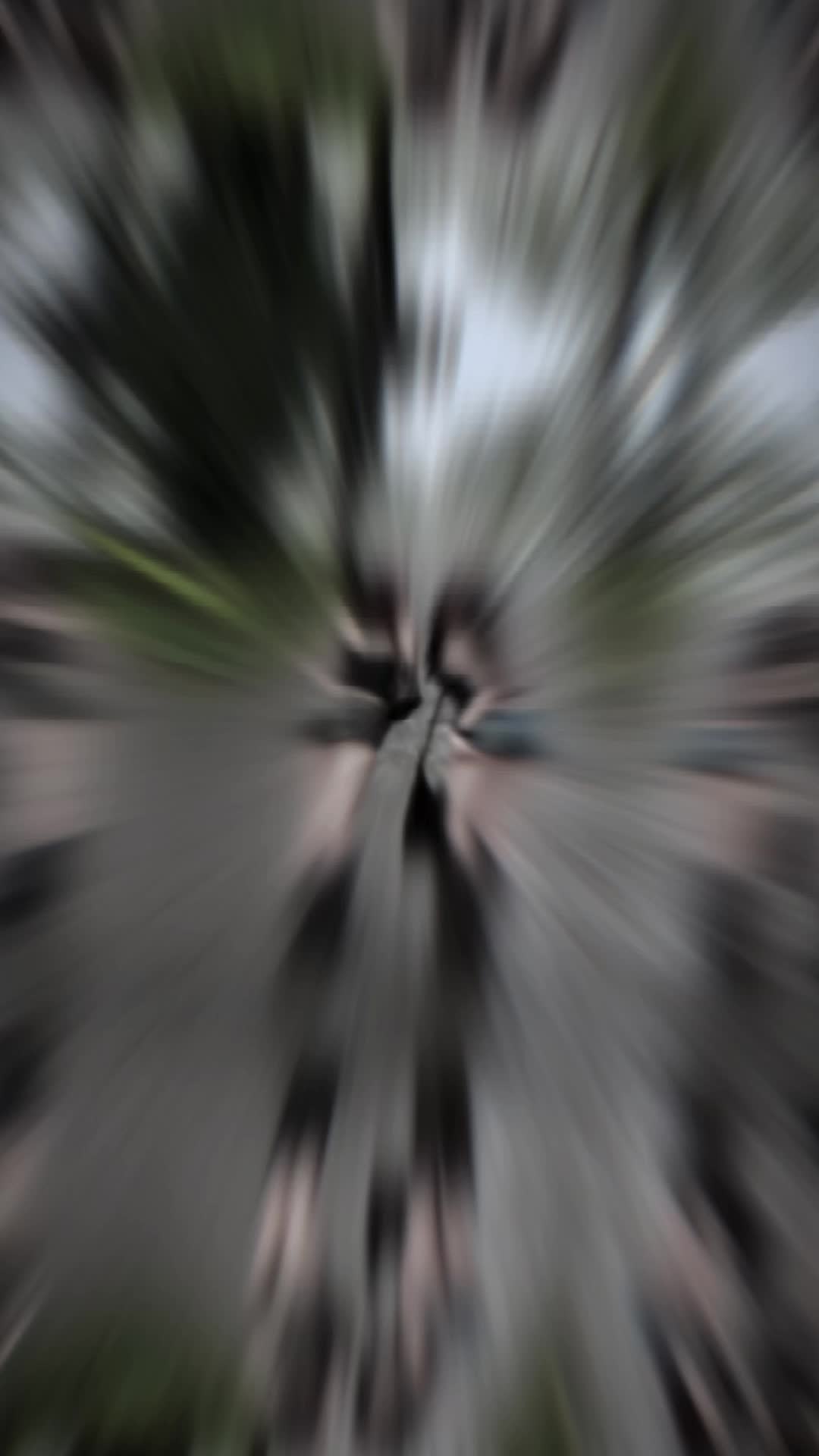 @Hane