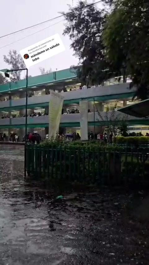 @Lobacho