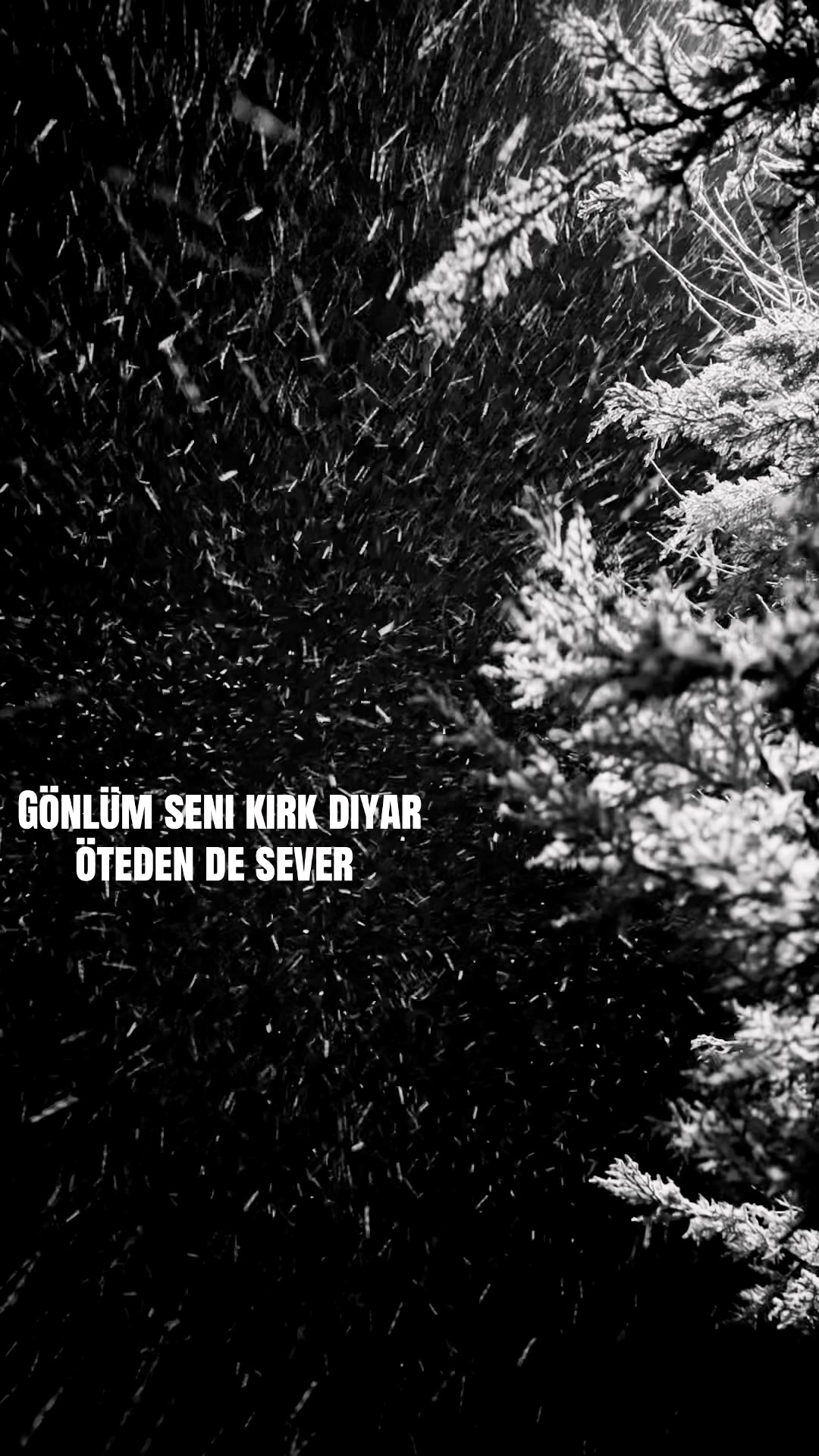@&ouml;ylesineee