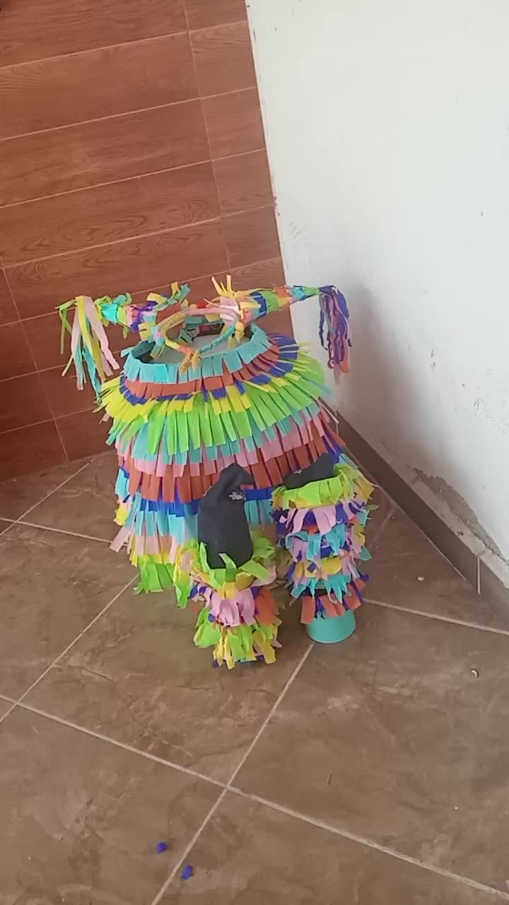 @Silvia Del Angel