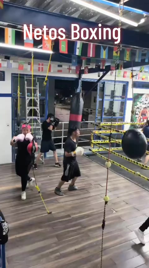 @netos boxing
