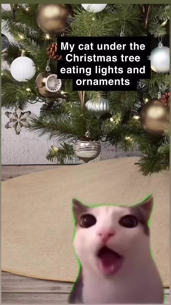 @Vera