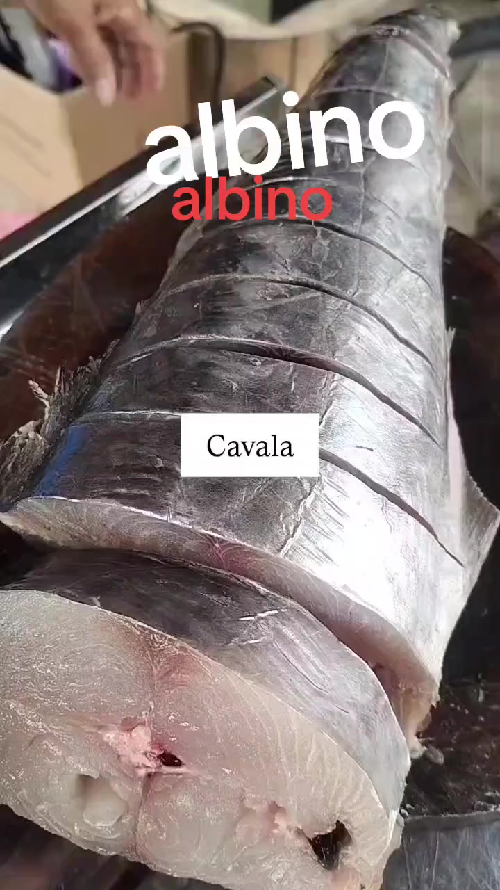 @Diegoalves2313