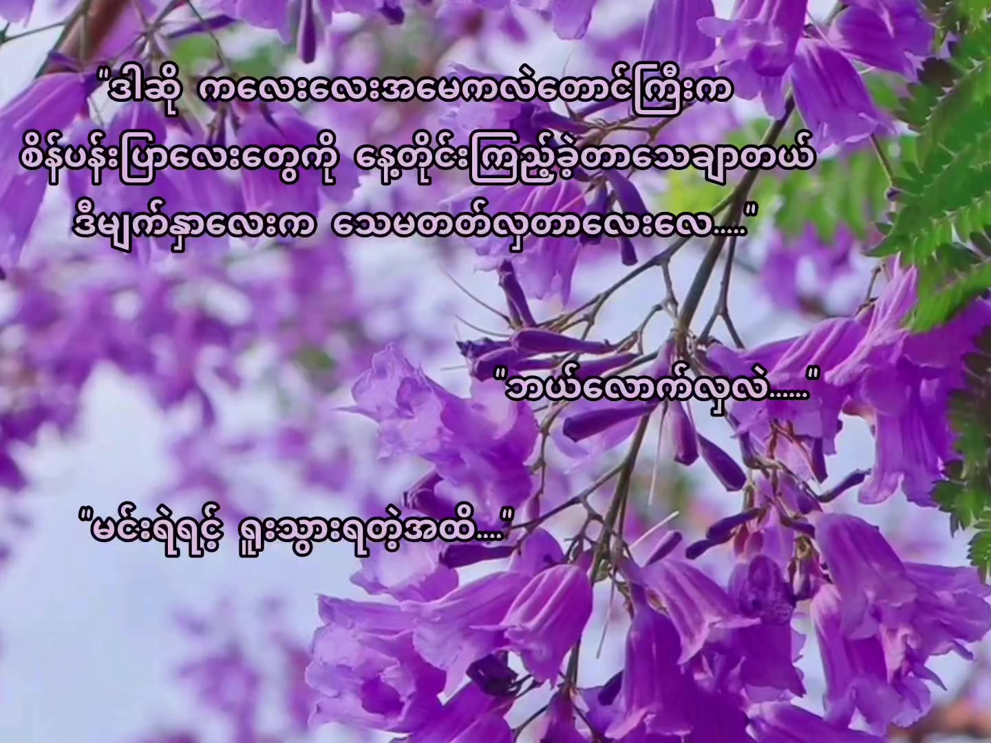 @đđť