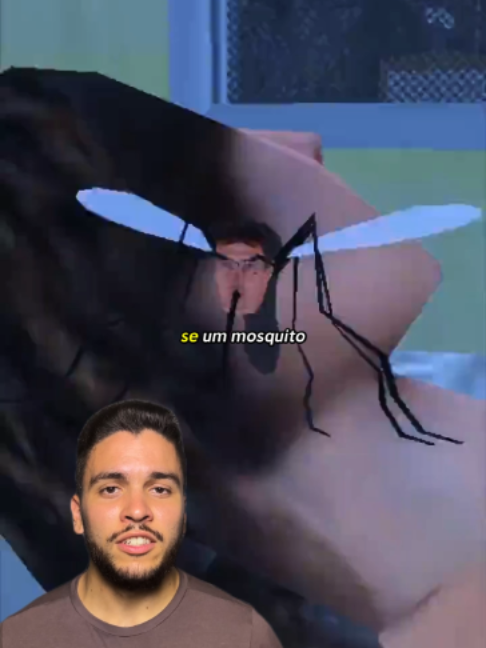 @omateussreage