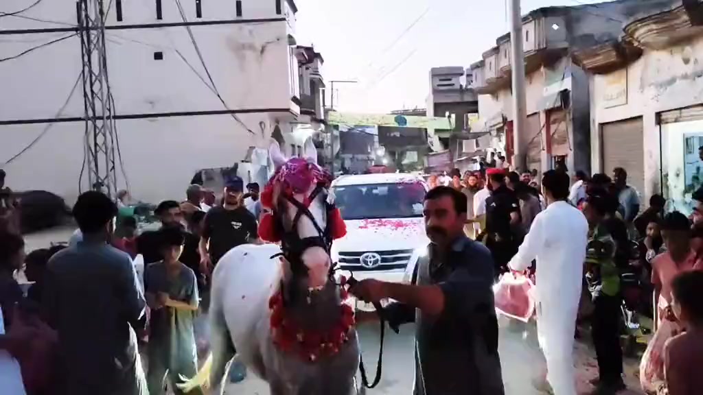 @Syeda Nosheen iftikhar. MNA✅