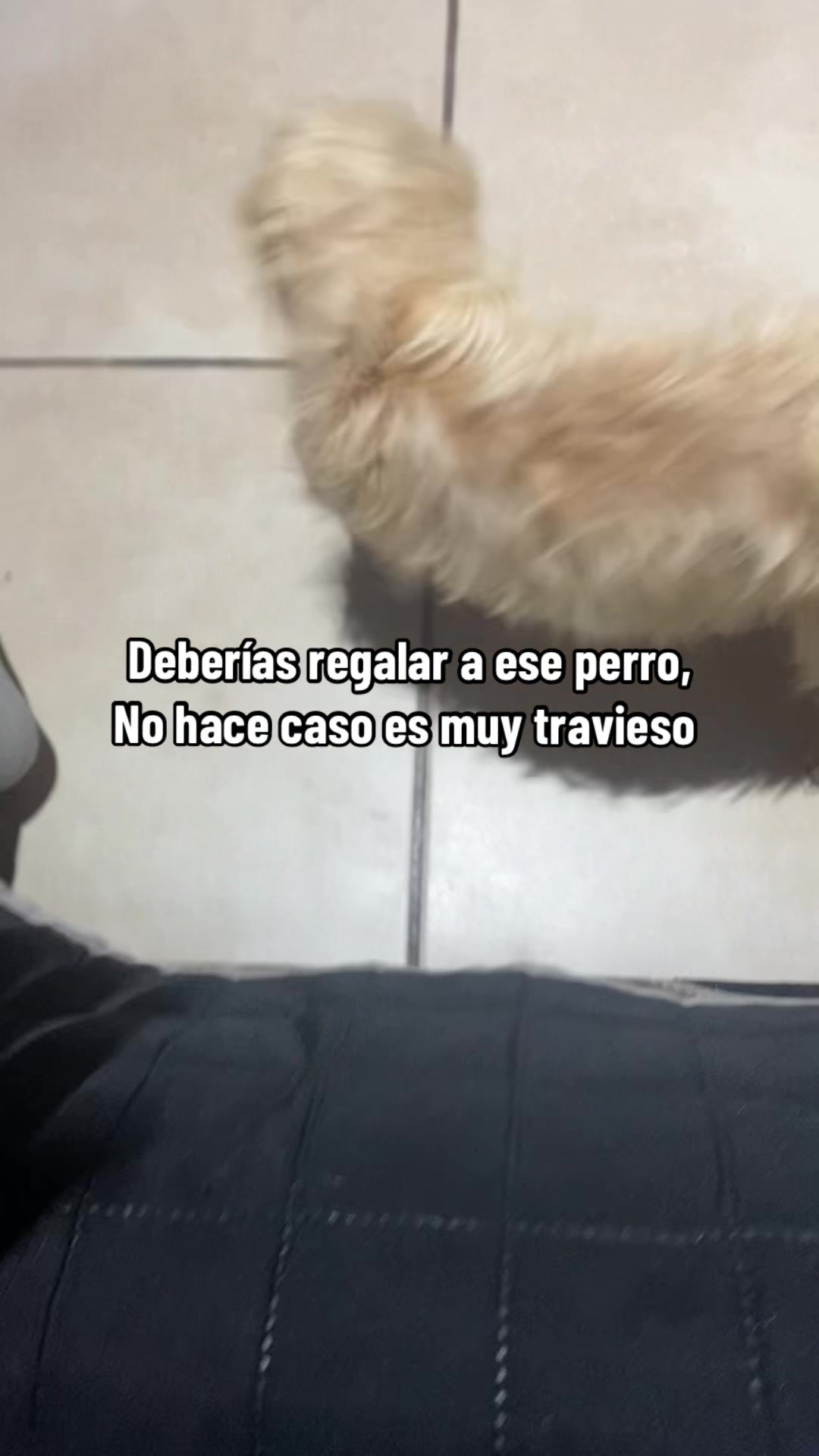 @chifuuu