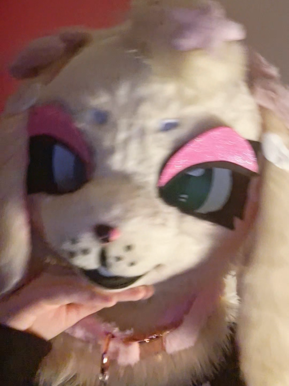 @✨️🎀♡D3l¡l@h♡🦴🐾