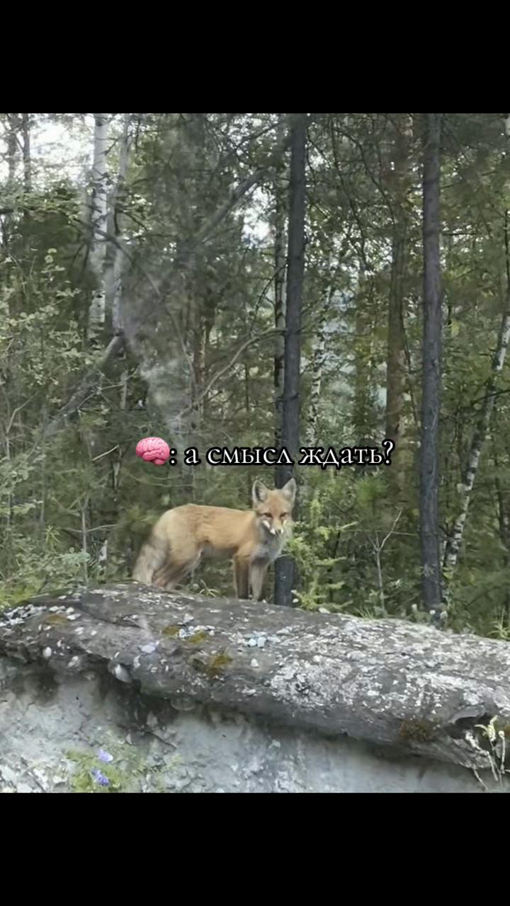 @d.