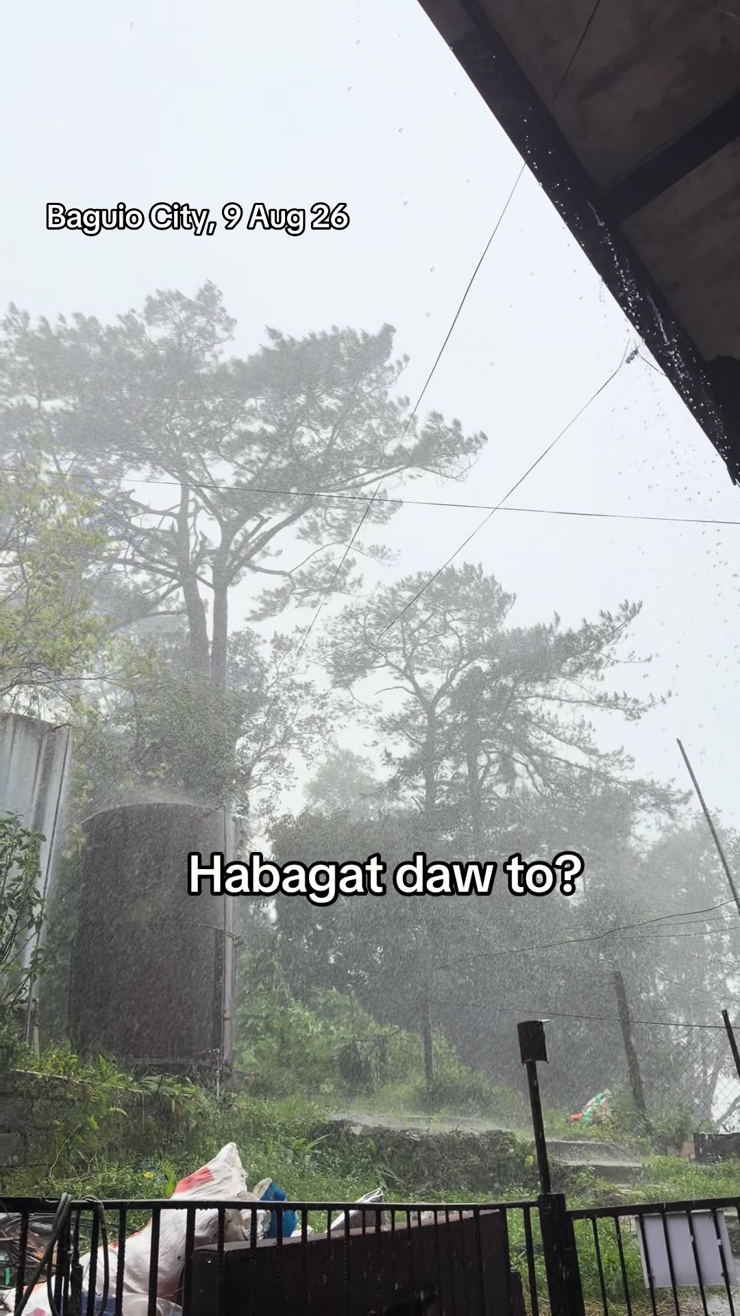 @Teddy